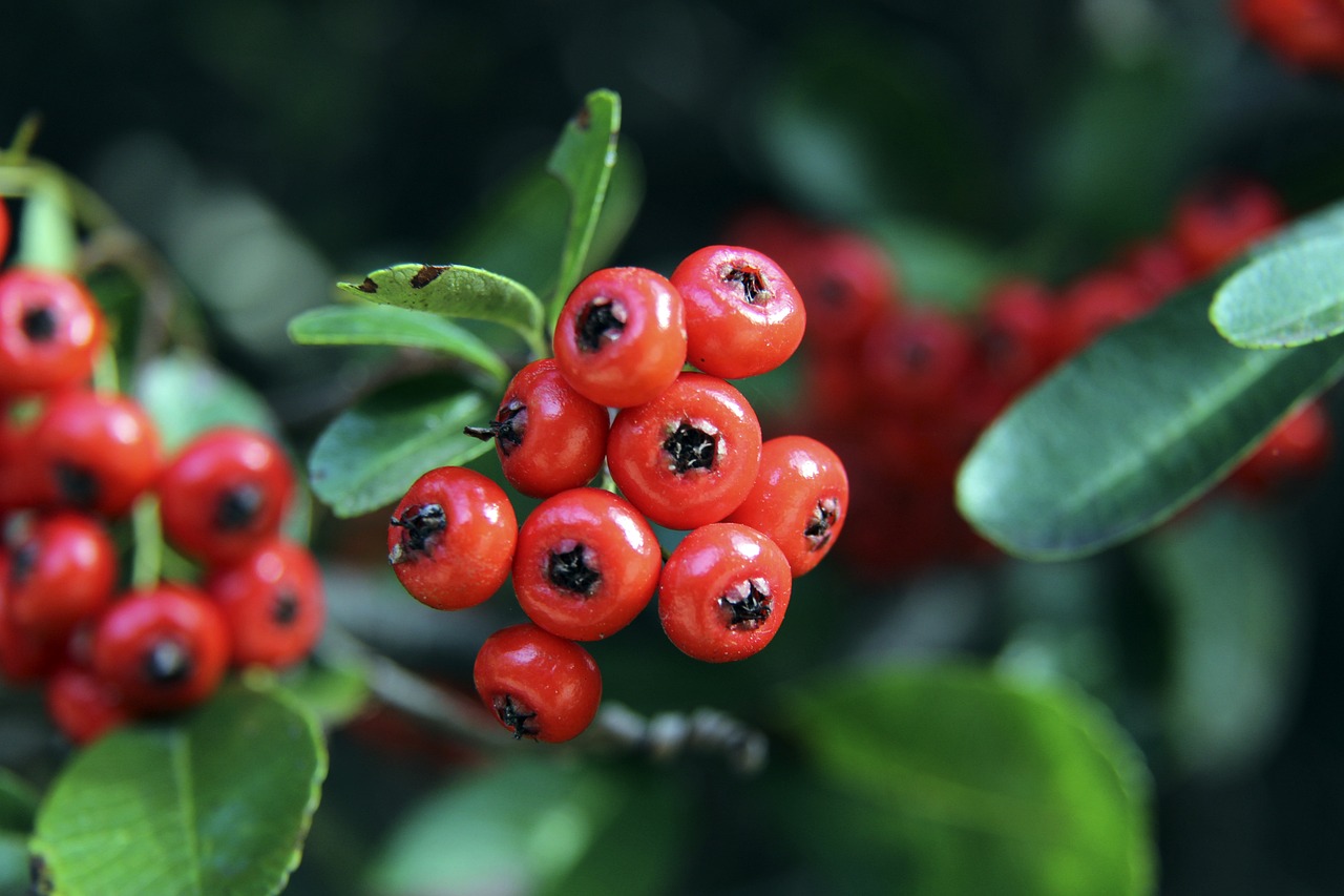 更大的突破 更大的突破