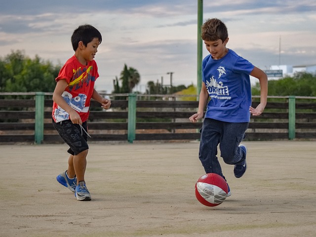 在為爭奪歐 在為爭奪歐