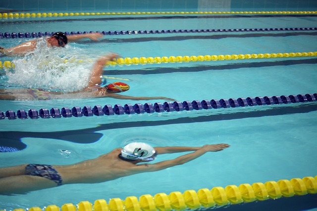 的心肺功能 的心肺功能