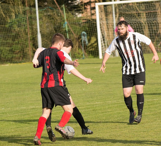 更是法国国 更是法国国