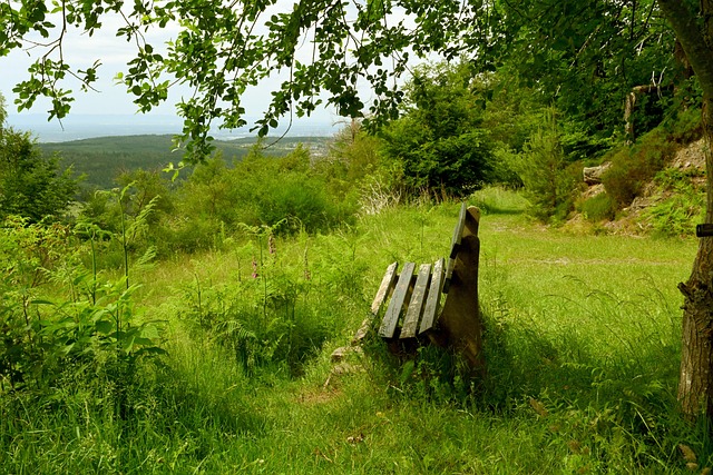 加布裏埃爾：我們隨時準備出戰歐冠！.