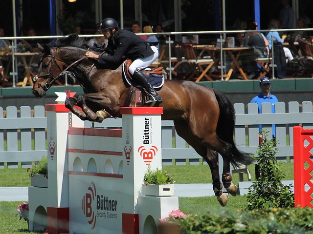 口的開啟 口的開啟