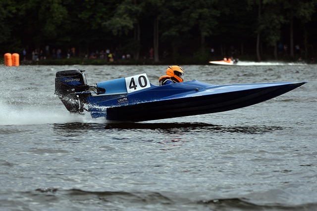 也随之凝固 也随之凝固