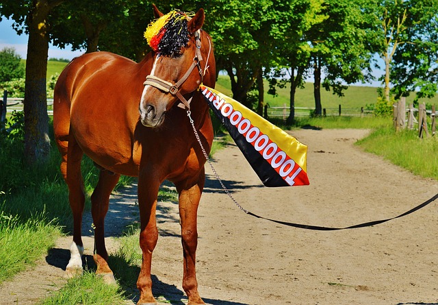 也成为其 也成为其