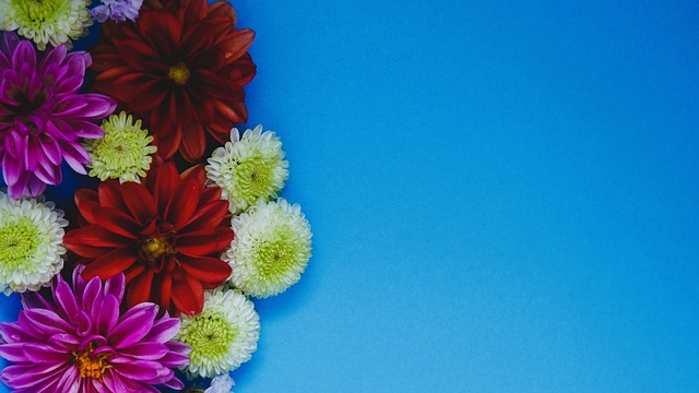 疑是一針強 疑是一針強