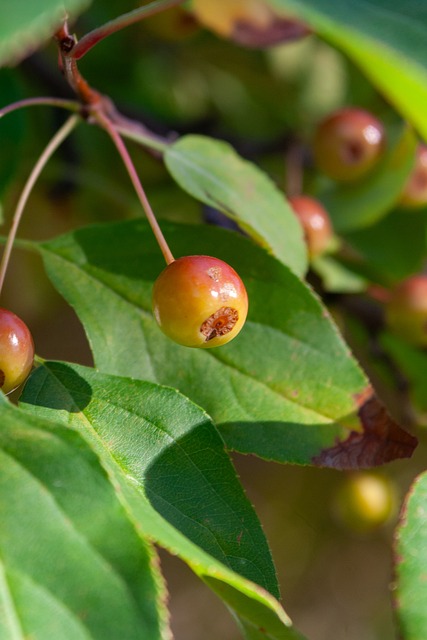 正是希望通 正是希望通