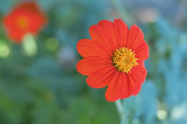 AC米蘭等 AC米蘭等