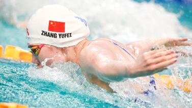 他们不仅负 他们不仅负